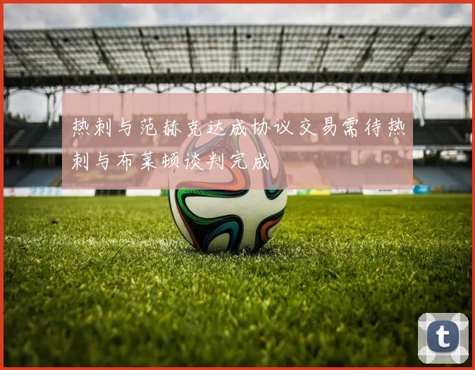 热刺与范赫克达成协议交易需待热刺与布莱顿谈判完成